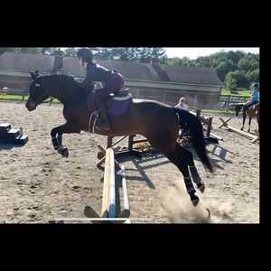 Meet your Posher, Grace